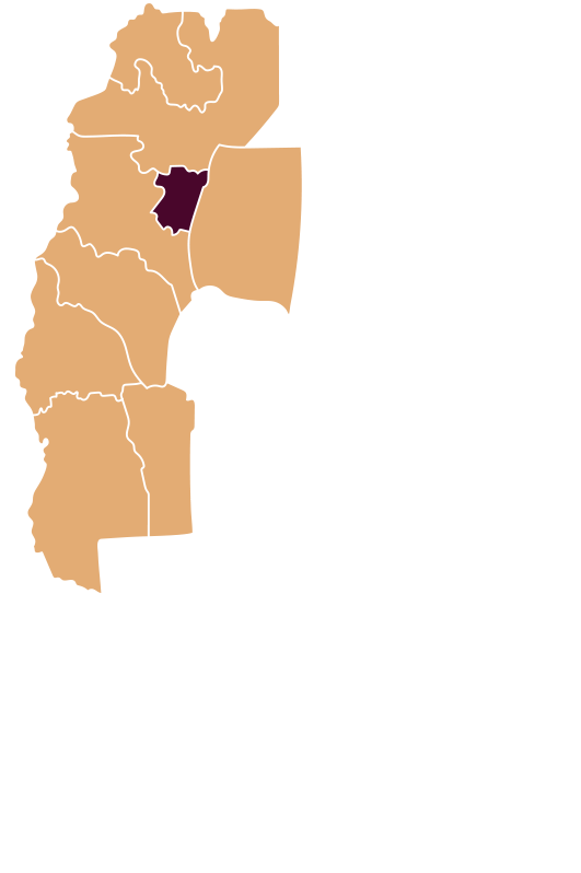 mapa-regiones-actualizado-01 Regiones Participantes