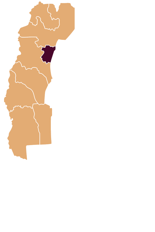 Regiones Participantes